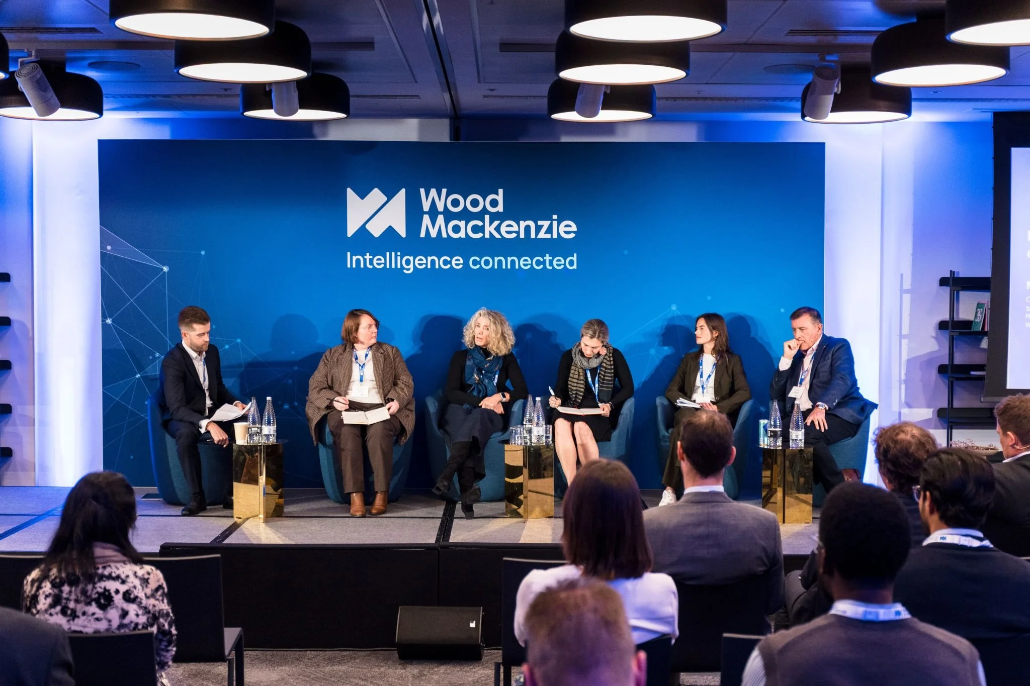 Woodmac 2025 Power Investment